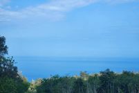 Undeveloped Land for sale in Hawaii County, Hawaii