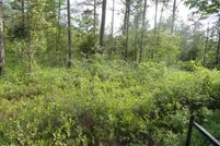 Land for sale in Pender County, North Carolina