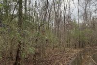 Undeveloped Land for sale in Richland Parish, Louisiana