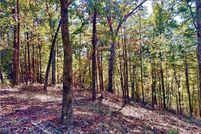 Undeveloped Land for sale in Gordon County, Georgia