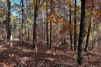 Undeveloped Land for sale in Gordon County, Georgia