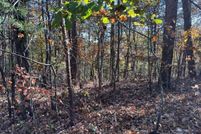 Land for sale in Gilmer County, Georgia