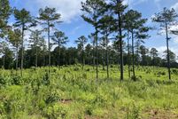 Undeveloped Land for sale in Monroe County, Georgia