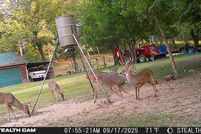 Undeveloped Land for sale in Pushmataha County, Oklahoma