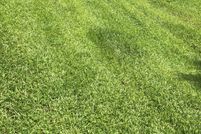 Land for sale in Fulton County, Georgia