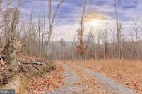 Undeveloped Land for sale in Page County, Virginia