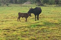 Land for sale in Glades County, Florida