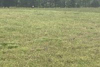 Homesite for sale in White County, Arkansas