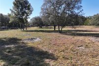 Land for sale in Levy County, Florida