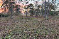 Undeveloped Land for sale in Polk County, Florida
