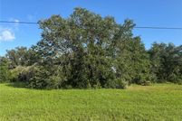 Land for sale in DeSoto County, Florida