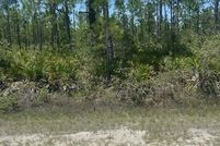 Undeveloped Land for sale in Polk County, Florida