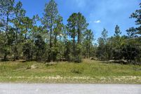 Land for sale in Levy County, Florida
