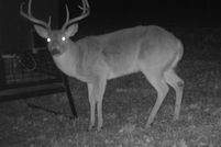 Land for sale in Montague County, Texas