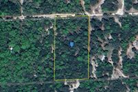 Undeveloped Land for sale in Gilchrist County, Florida