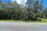 Undeveloped Land for sale in Marion County, Florida