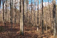 Land for sale in Cleburne County, Arkansas