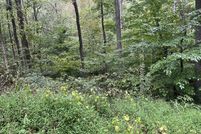 Land for sale in Forsyth County, Georgia