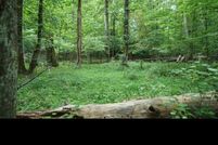 Land for sale in Gwinnett County, Georgia