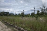 Land for sale in Tattnall County, Georgia