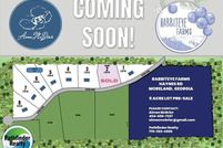 Land for sale in Coweta County, Georgia