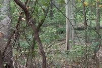 Land for sale in Gordon County, Georgia