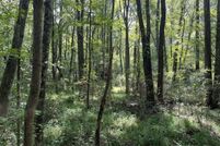 Land for sale in Haralson County, Georgia