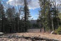 Undeveloped Land for sale in Windham County, Vermont