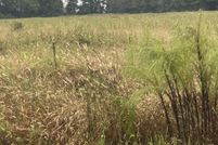 Undeveloped Land for sale in Pender County, North Carolina