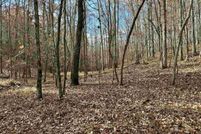 Undeveloped Land for sale in Cherokee County, Alabama