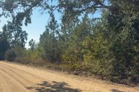 Land for sale in Telfair County, Georgia