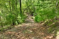 Land for sale in Fannin County, Georgia