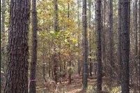 Undeveloped Land for sale in Monroe County, Georgia