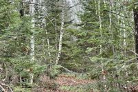 Land for sale in Waldo County, Maine