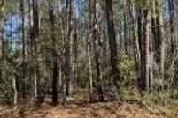 Undeveloped Land for sale in Pender County, North Carolina