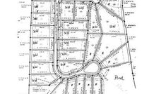 Undeveloped Land for sale in Aiken County, South Carolina