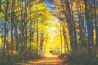 Land for sale in Aiken County, South Carolina