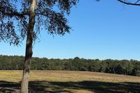 Land for sale in Geneva County, Alabama