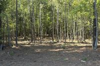 Undeveloped Land for sale in Shelby County, Tennessee