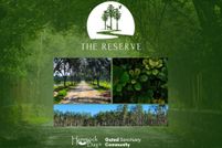 Land for sale in Walton County, Florida