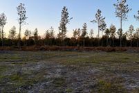 Timberland Property for sale in Hampton County, South Carolina