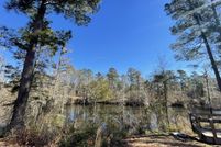 Timberland Property for sale in Brunswick County, North Carolina