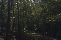 Waterfront Property for sale in Hall County, Georgia