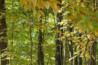 Land for sale in Lincoln County, Wisconsin