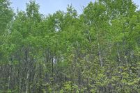 Land for sale in Oneida County, Wisconsin