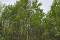 Land for sale in Oneida County, Wisconsin