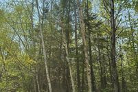 Land for sale in Oneida County, Wisconsin