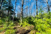 Land for sale in Vilas County, Wisconsin