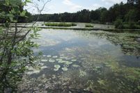 Land for sale in Price County, Wisconsin