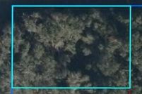 Land for sale in Levy County, Florida